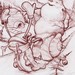 Tattoos - Snow Snail - 52327